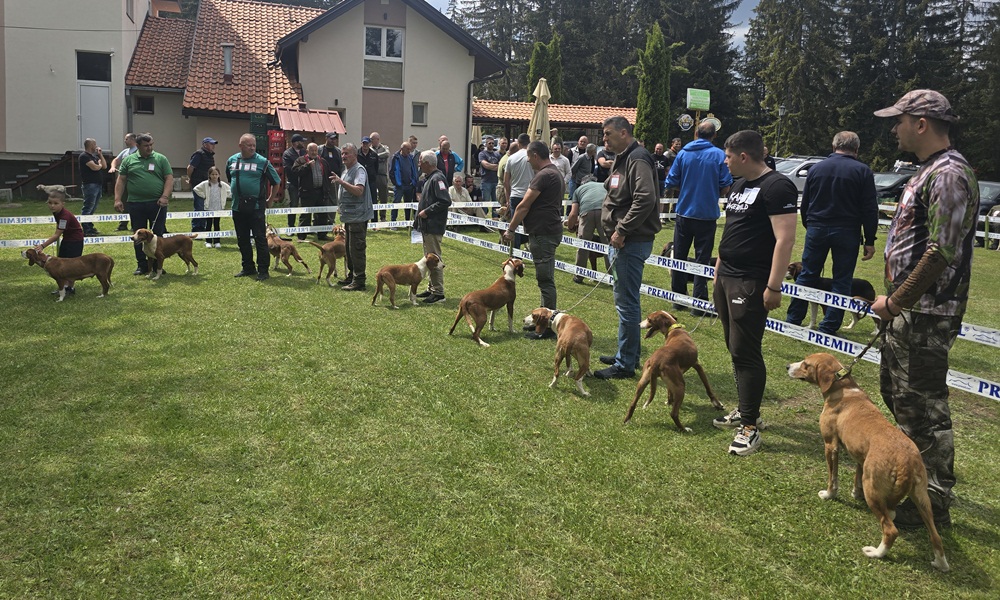 Учествовало стотинак паса из Србије и региона (Фото: Д. Мариновић)