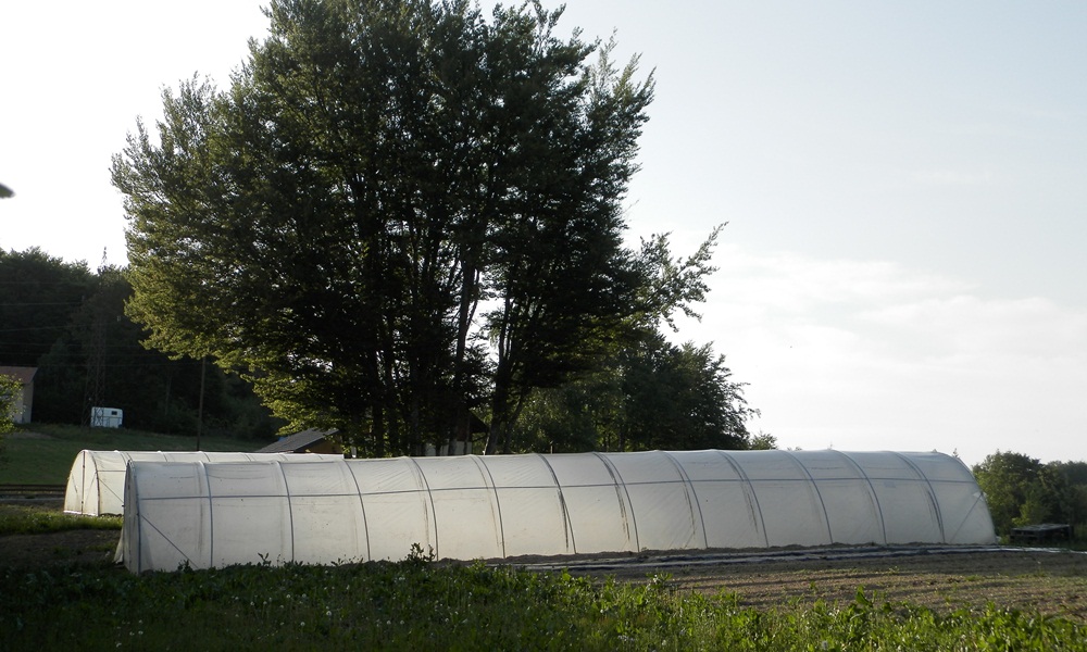 Учешће пољопривредника 30 посто од вредности инвестиције  (Фото: Ж. Дулановић)