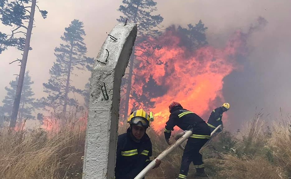 Ватра се брзо проширила шумом (Фото: МУП Србије)