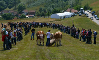 Традиционално на Видовдан - на Стражи (Фотоси: Ж. Дулановић)