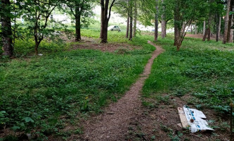 Чистиће се и шумарак прекопута муслиманског гробља (Фото: Ж. Дулановић)