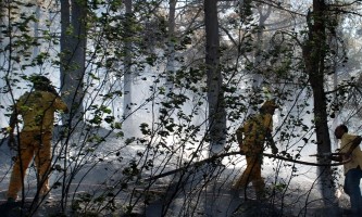 Почиње сезона шумских пожара: архивски снимак (Фото: Р. Прелић)