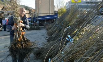 Рок за пријаву 25. октобар (Фото: Р. Прелић)