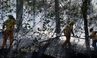Лане горело 25 хектара државних шума